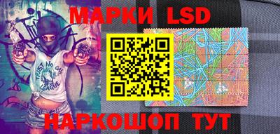 стаф Сланцы
