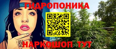 стаф Сланцы