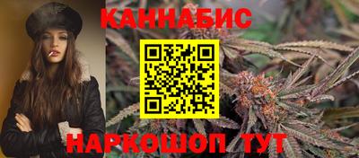 стаф Сланцы