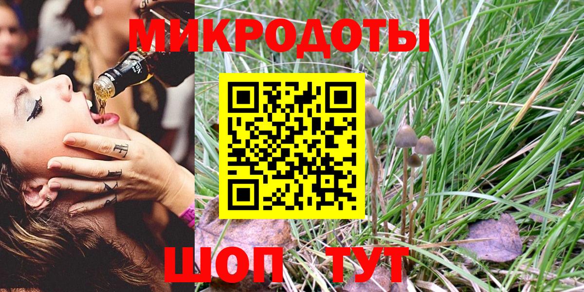 Галлюциногенные грибы Psilocybine cubensis Норильск