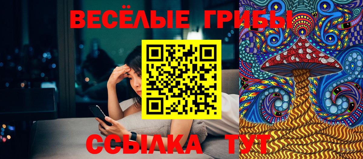 Норильск  Псилоцибиновые грибы мицелий  Вход с VPN 
